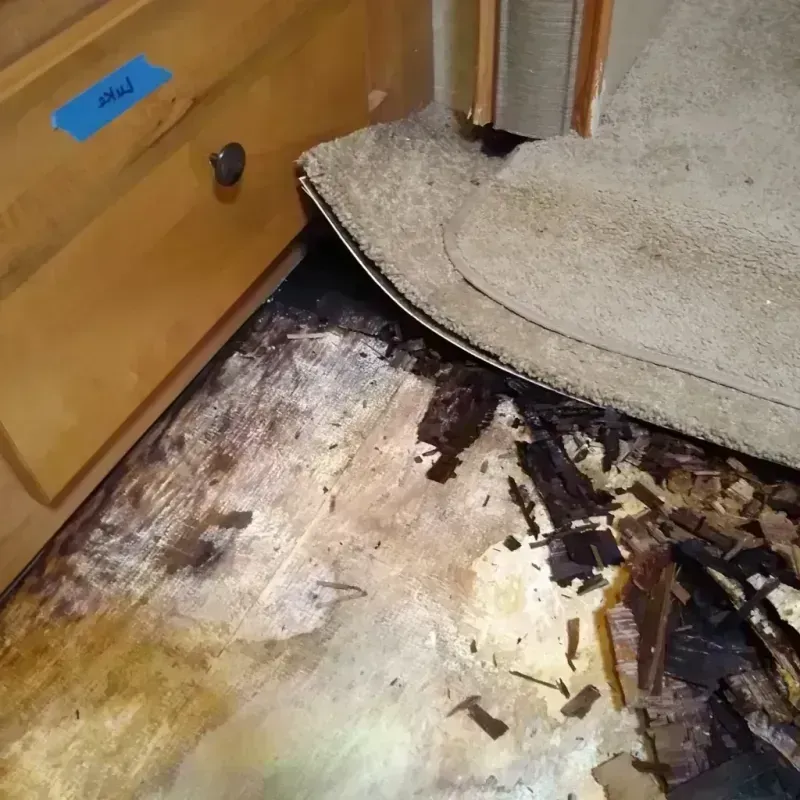 Wood Floor Water Damage in Mason, MI